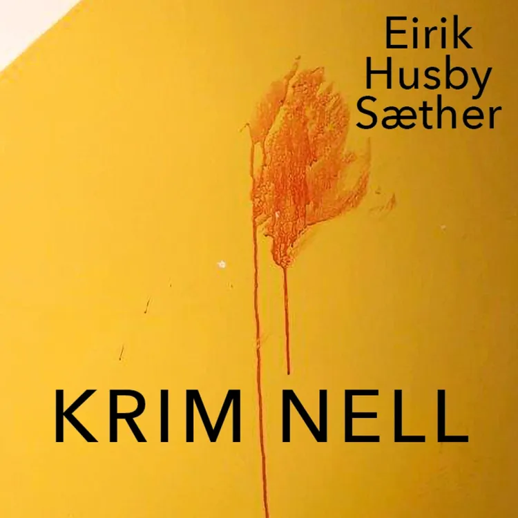 Omslag Kriminell av Eirik Husby Sæther (Lydbok)