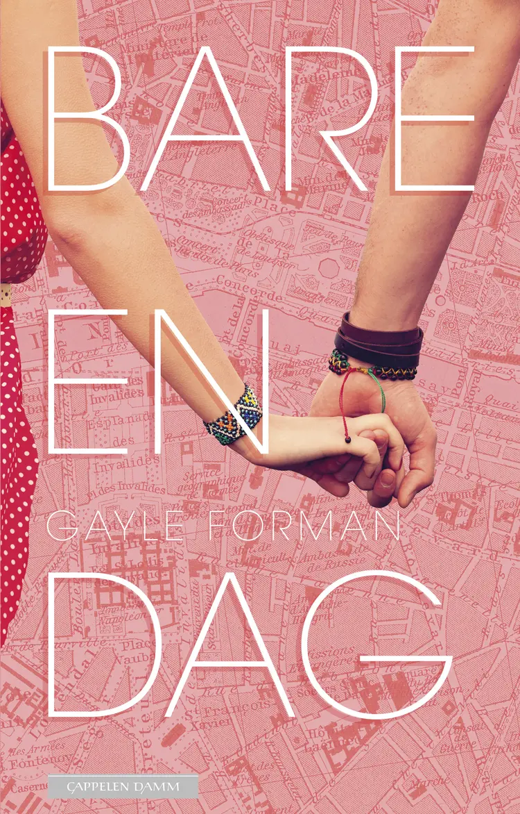 Omslag Bare en dag av Gayle Forman (Innbundet)