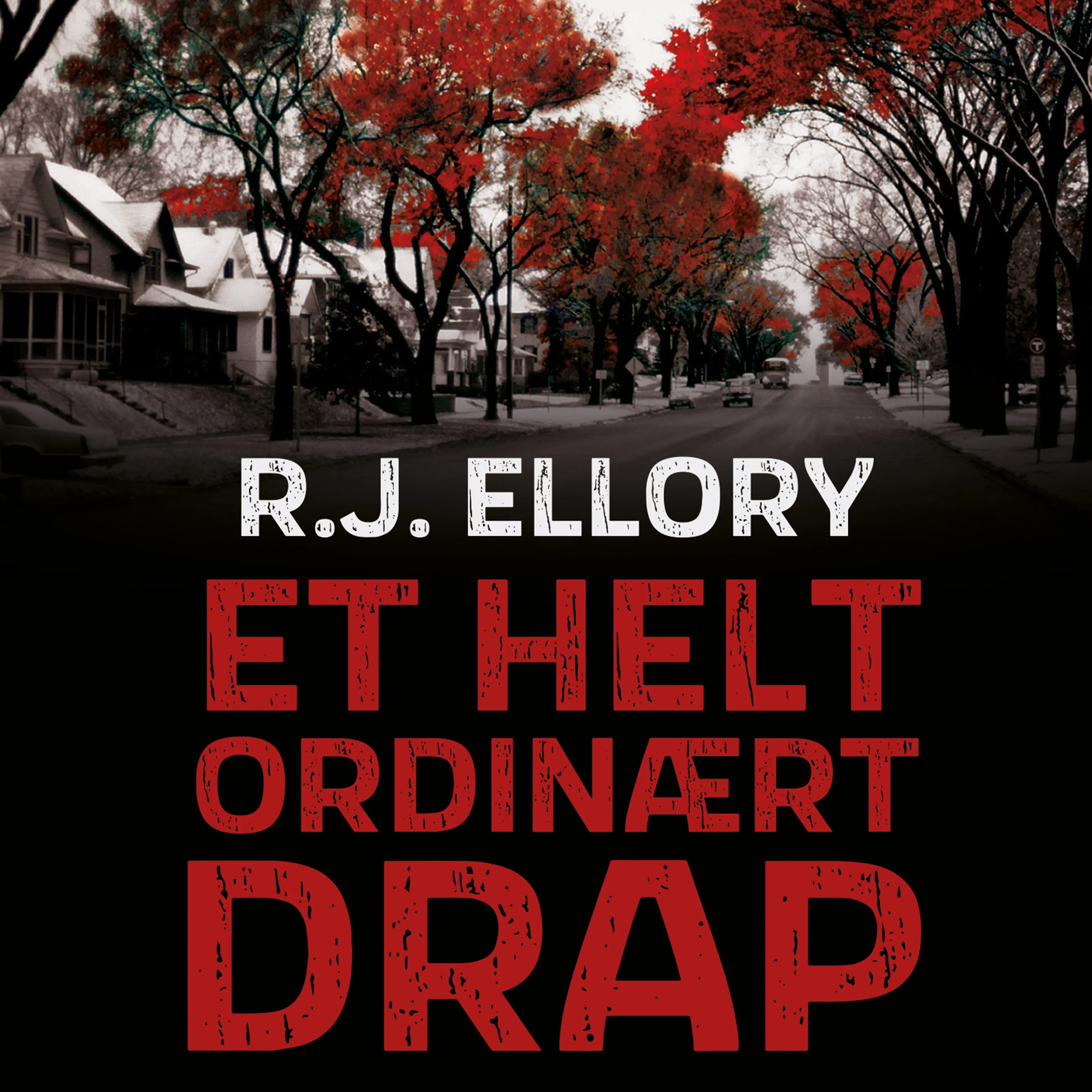 Omslag Et helt ordinært drap av R.J. Ellory (Lydbok)