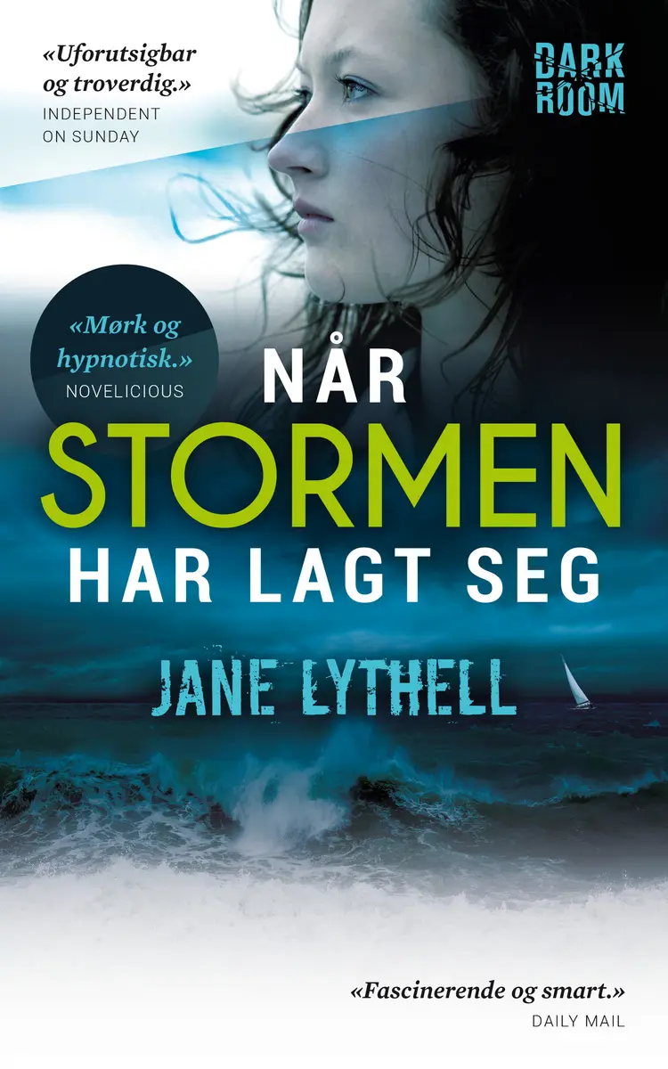 Omslag Når stormen har lagt seg av Jane Lythell (Ebok)