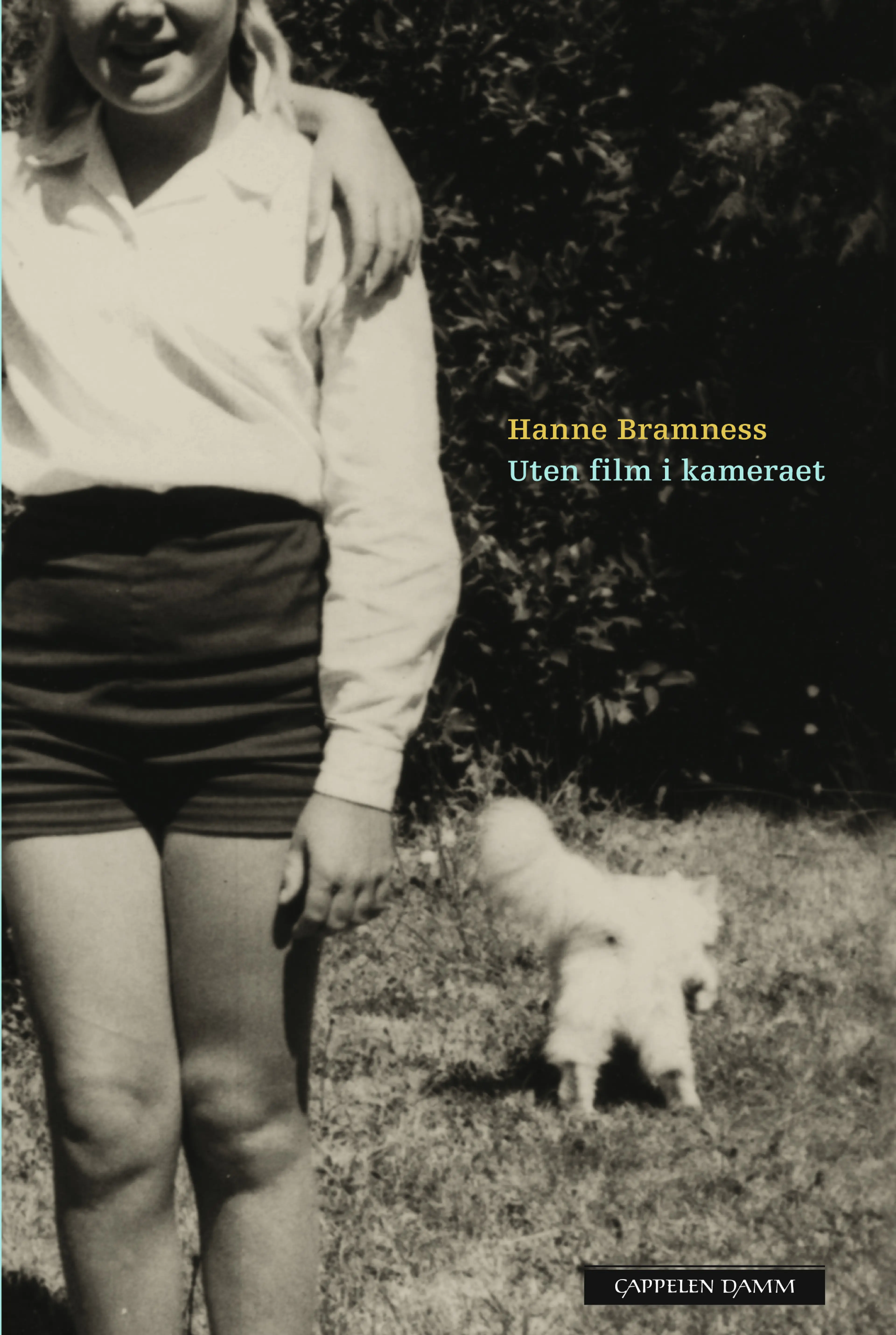 Omslag Uten film i kameraet av Hanne Bramness (Innbundet)