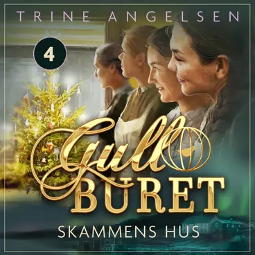 Omslag Skammens hus av Trine Angelsen (Lydbok)