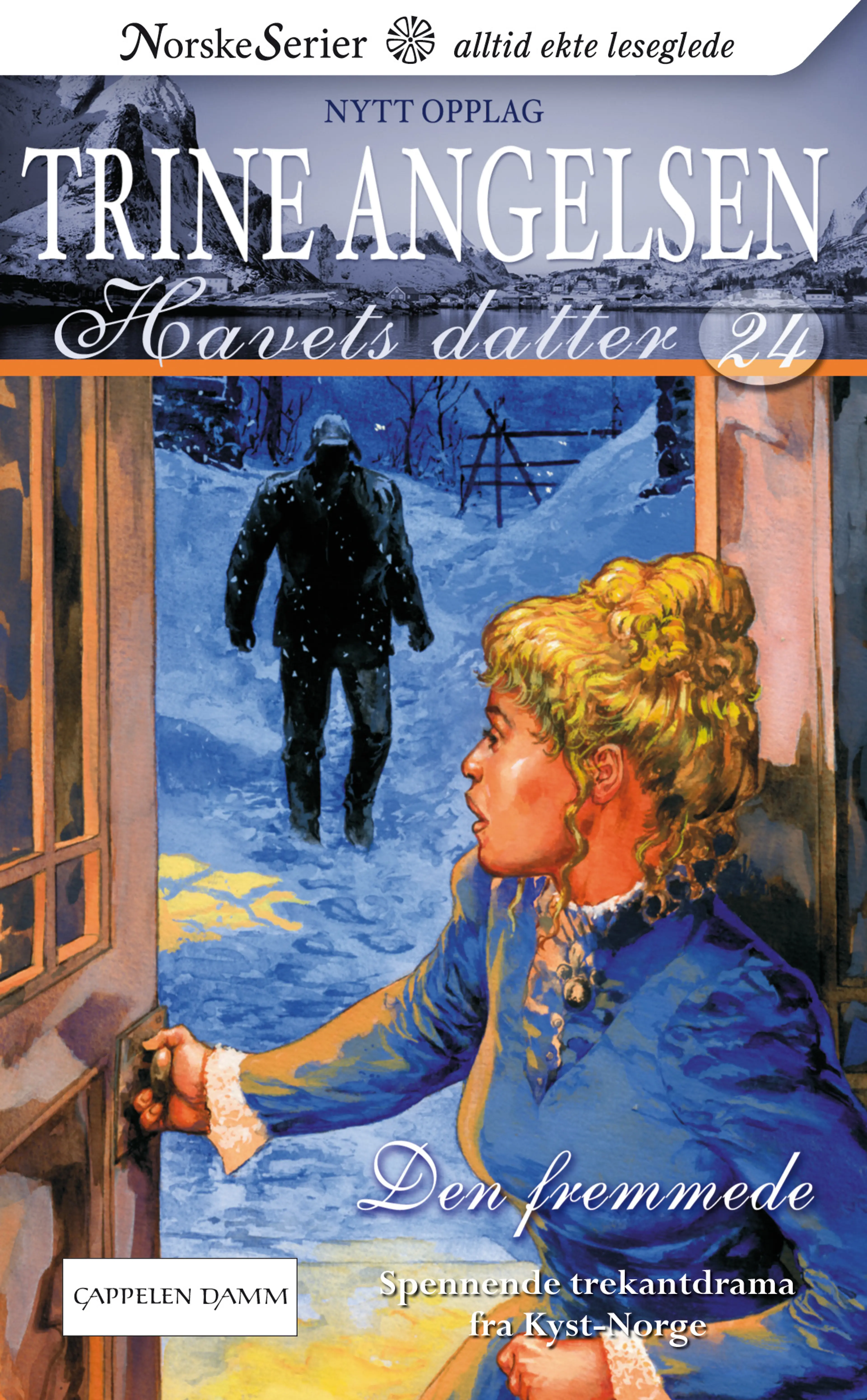 Omslag Den fremmede av Trine Angelsen (Ebok)