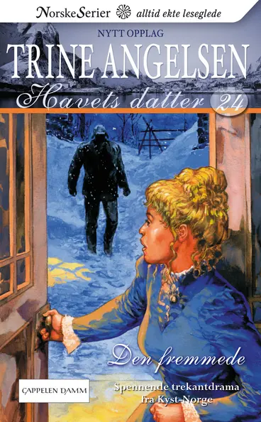 Omslag Den fremmede av Trine Angelsen (Ebok)