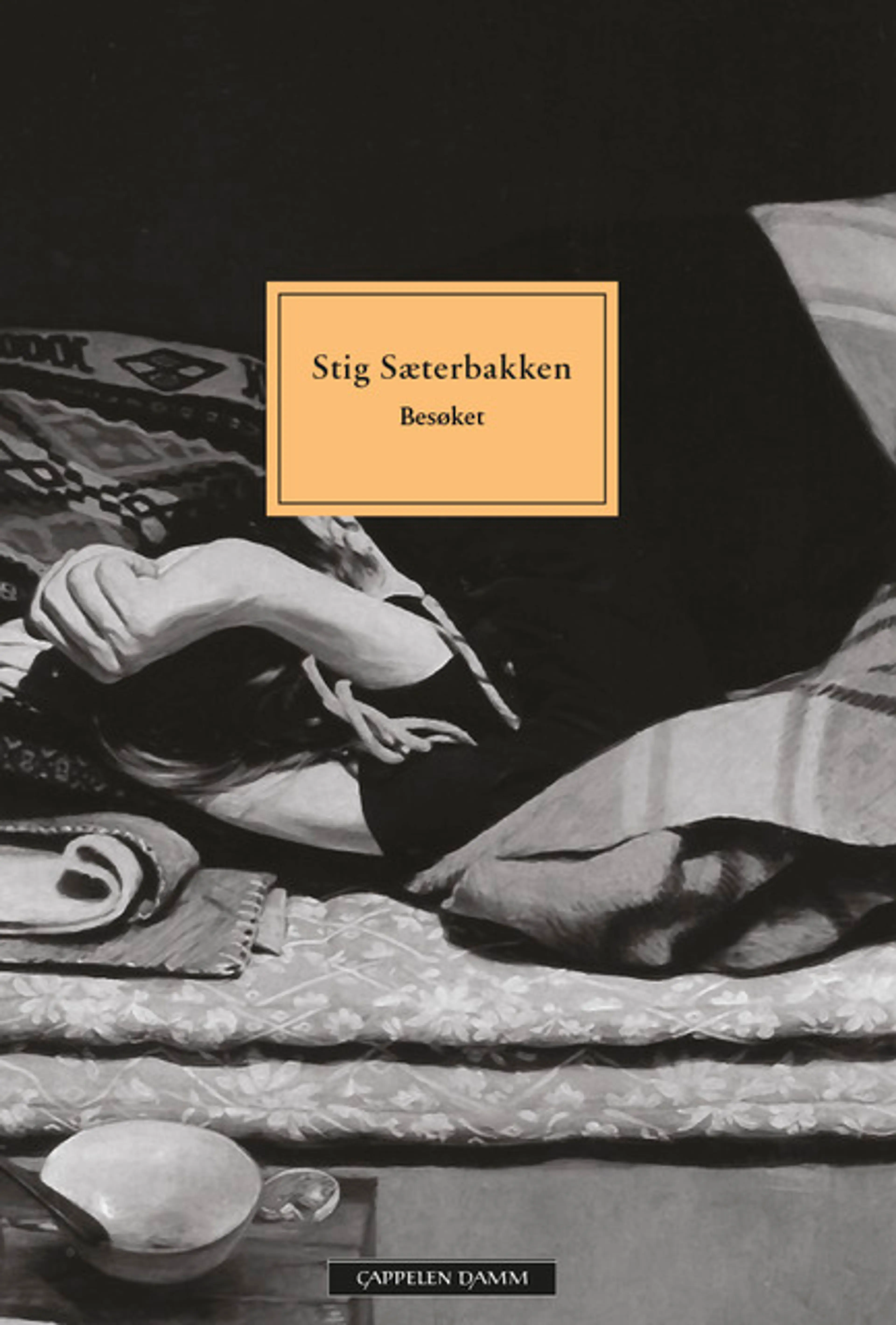 Omslag Besøket av Stig Sæterbakken (Heftet)