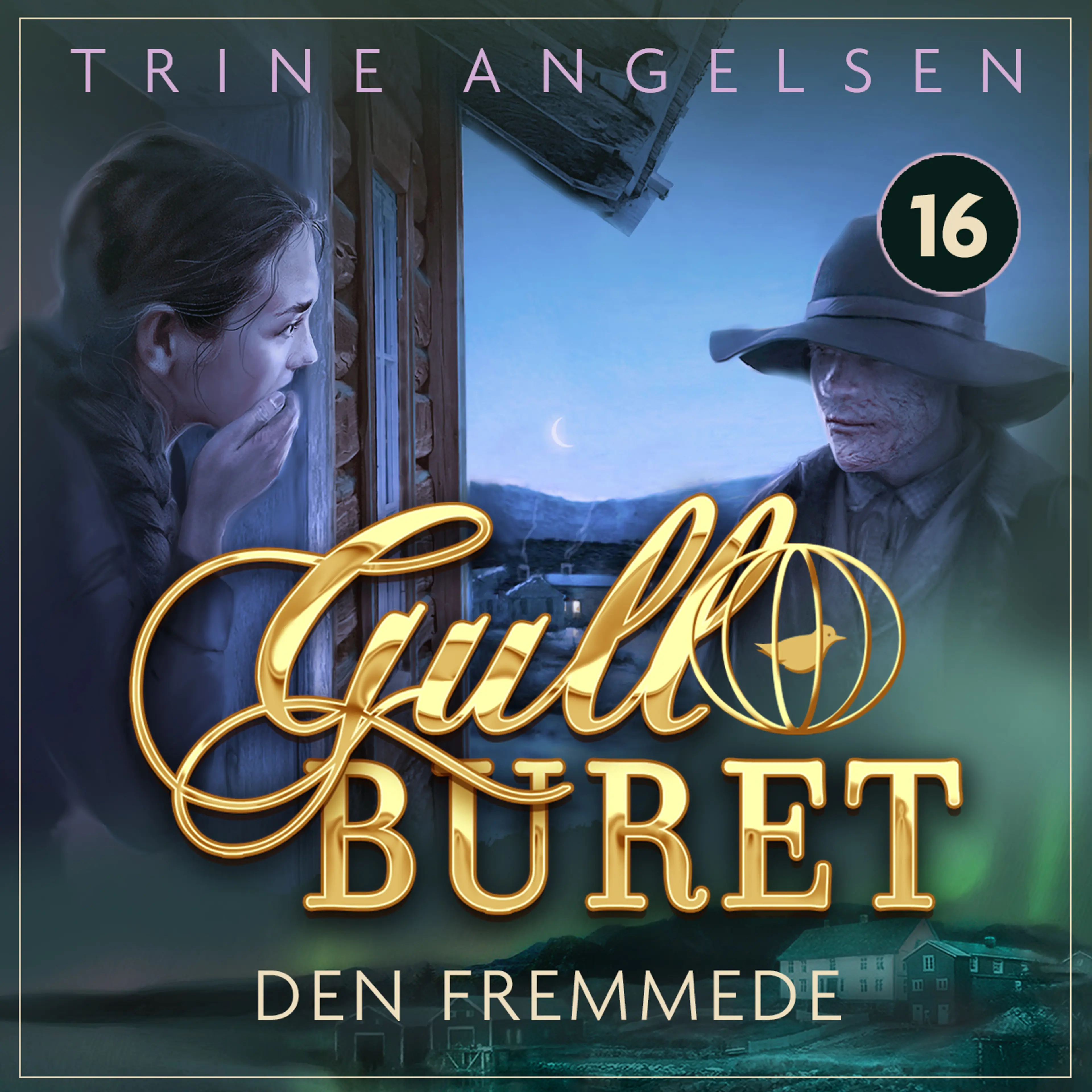 Omslag Den fremmede av Trine Angelsen (Lydbok)