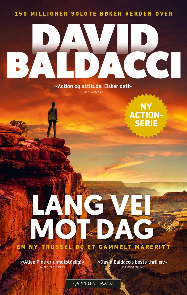 Omslag Lang vei mot dag av David Baldacci (Ebok)