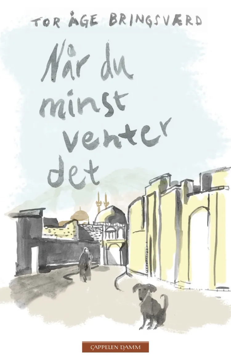 Omslag Når du minst venter det av Tor Åge Bringsværd (Innbundet)