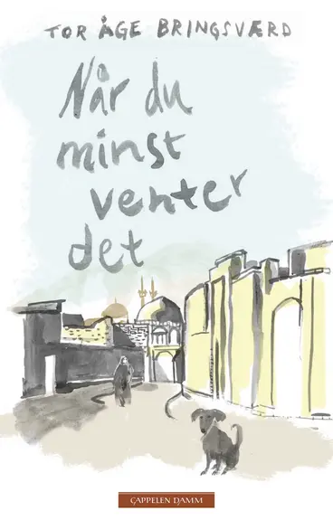 Omslag Når du minst venter det av Tor Åge Bringsværd (Ebok)