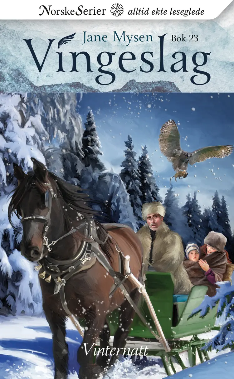 Omslag Vinternatt av Jane Mysen (Ebok)