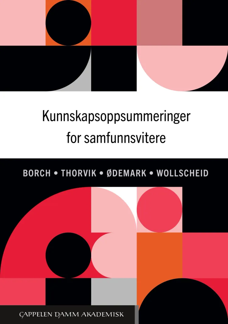 Omslag Kunnskapsoppsummeringer for samfunnsvitere av Anita Borch, Camilla Thorvik, Ingjerd Legreid Ødemark og Sabine Wollscheid (Heftet)