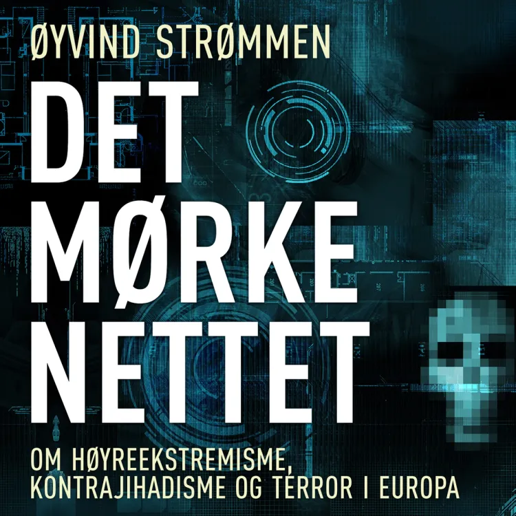 Omslag Det mørke nettet av Øyvind Strømmen (Lydbok)