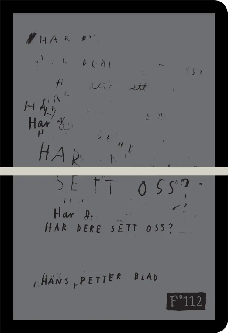 Omslag Har dere sett oss? av Hans Petter Blad (Heftet)