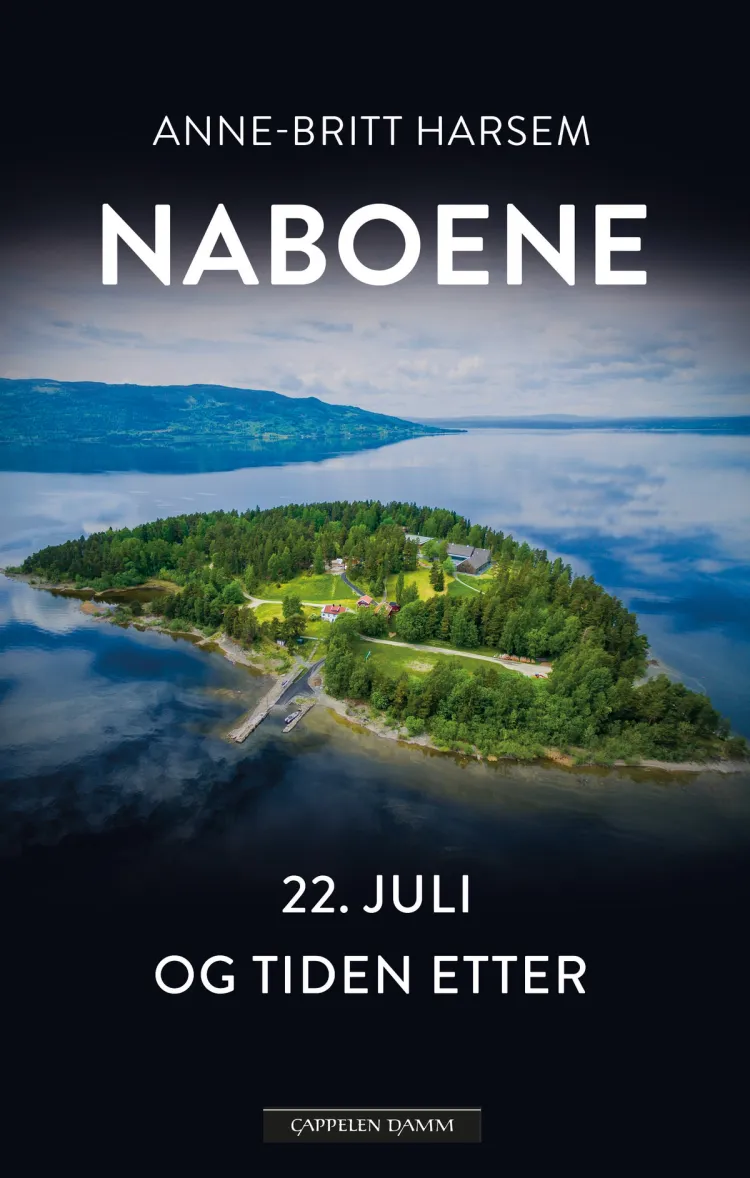 Omslag Naboene av Anne-Britt Harsem (Ebok)