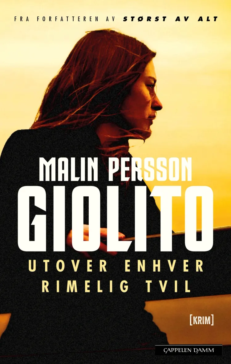 Omslag Utover enhver rimelig tvil av Malin Persson Giolito (Innbundet)