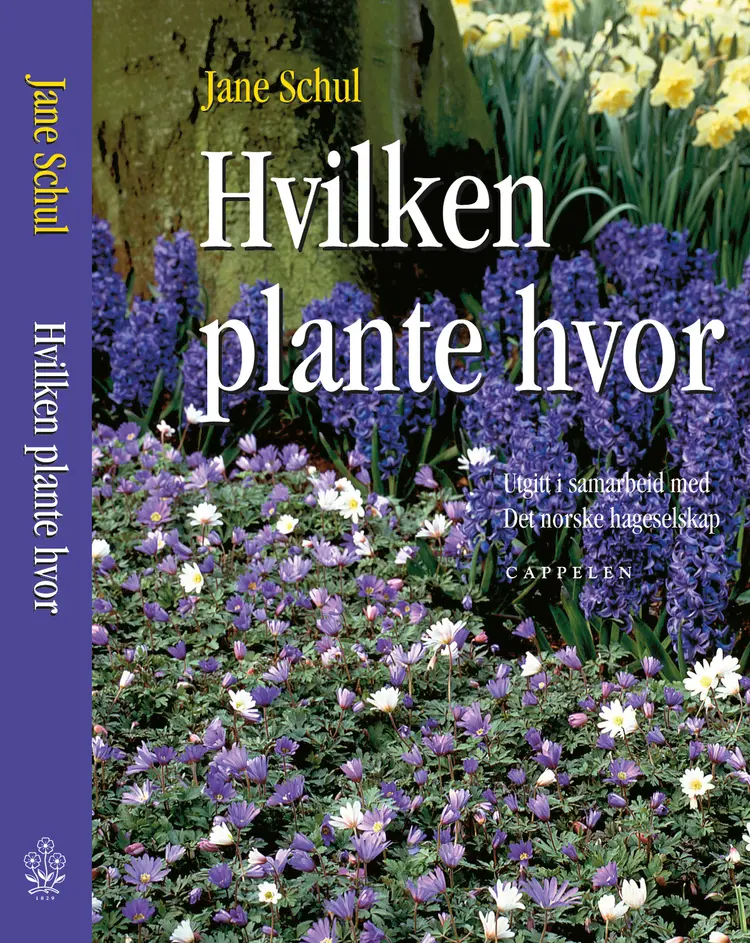 Omslag Hvilken plante hvor av Jane Schul (Innbundet)