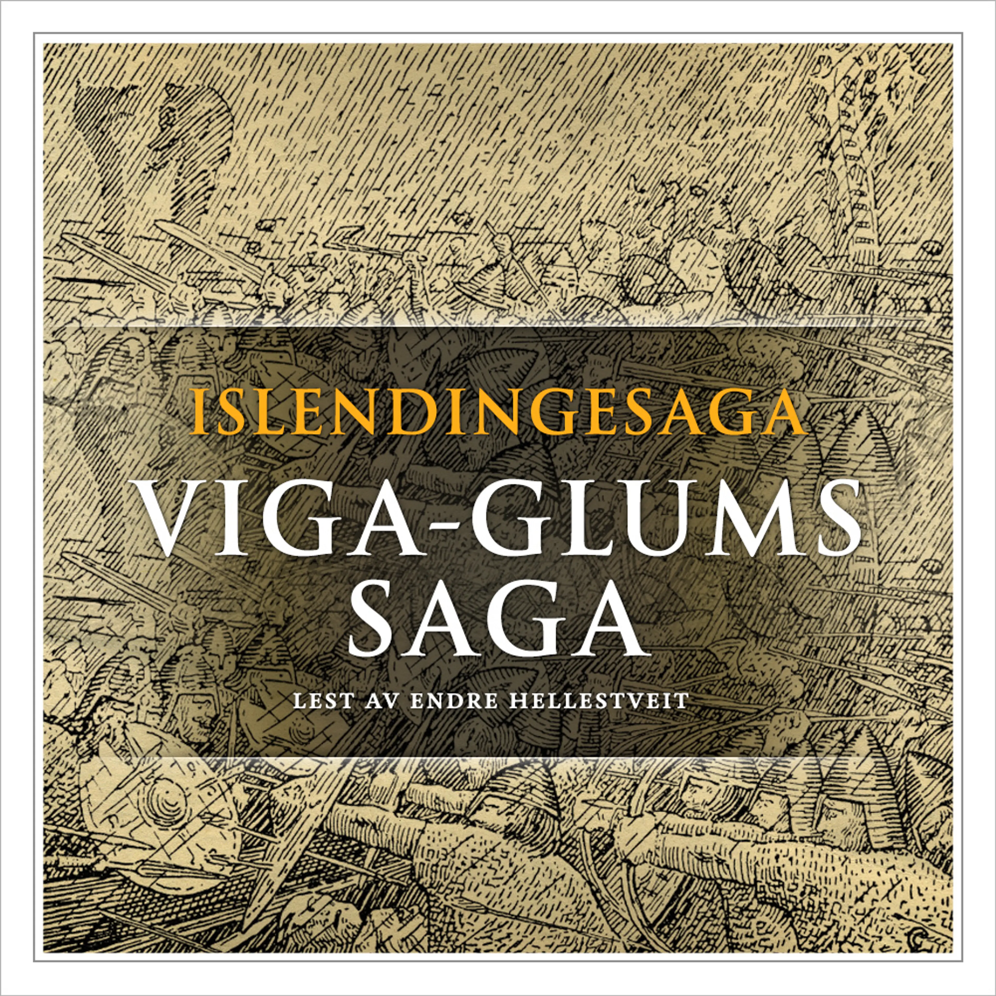 Omslag Viga-Glums saga av Flere (Lydbok)