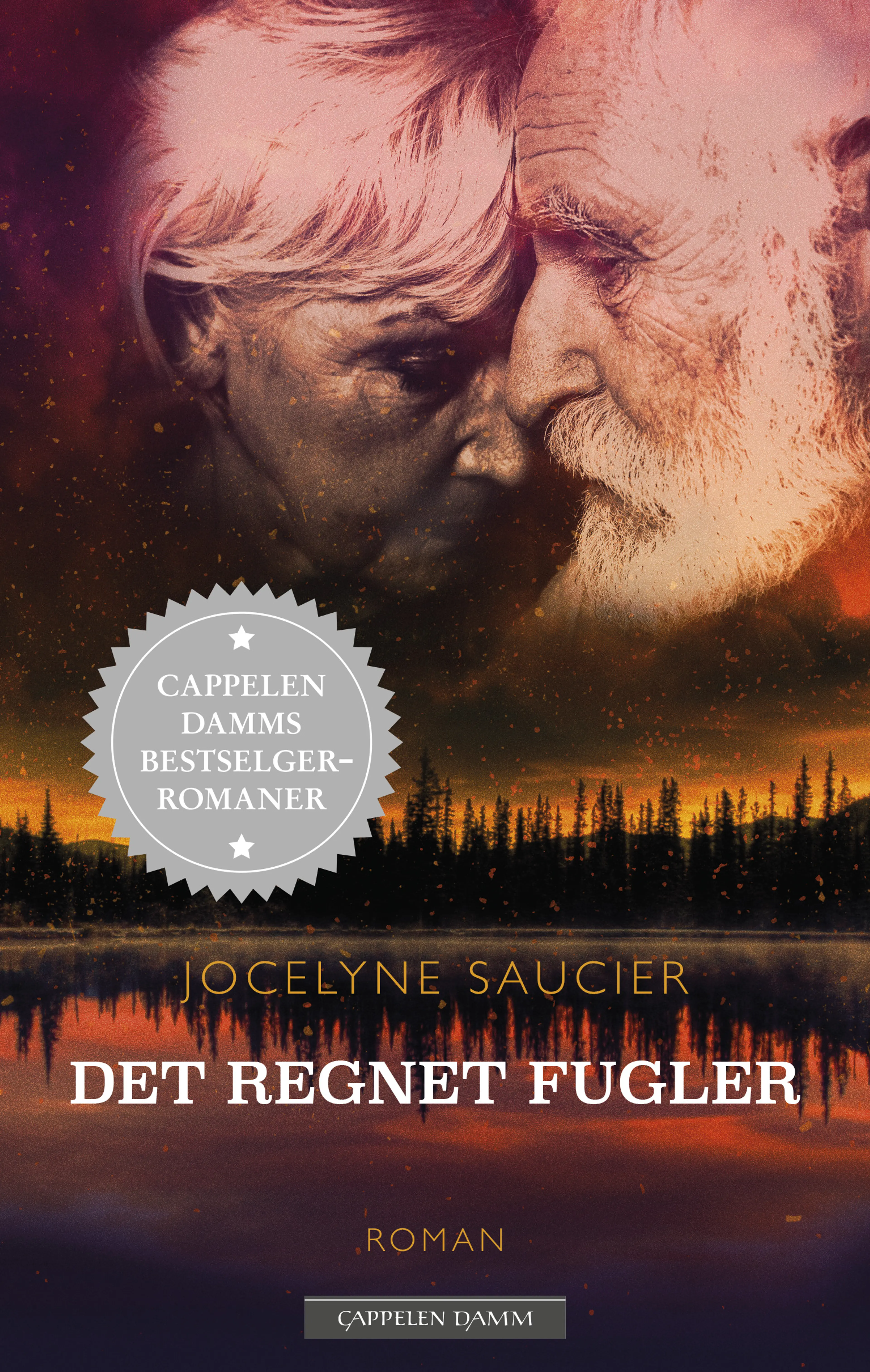 Omslag Det regnet fugler av Jocelyne Saucier (Heftet)