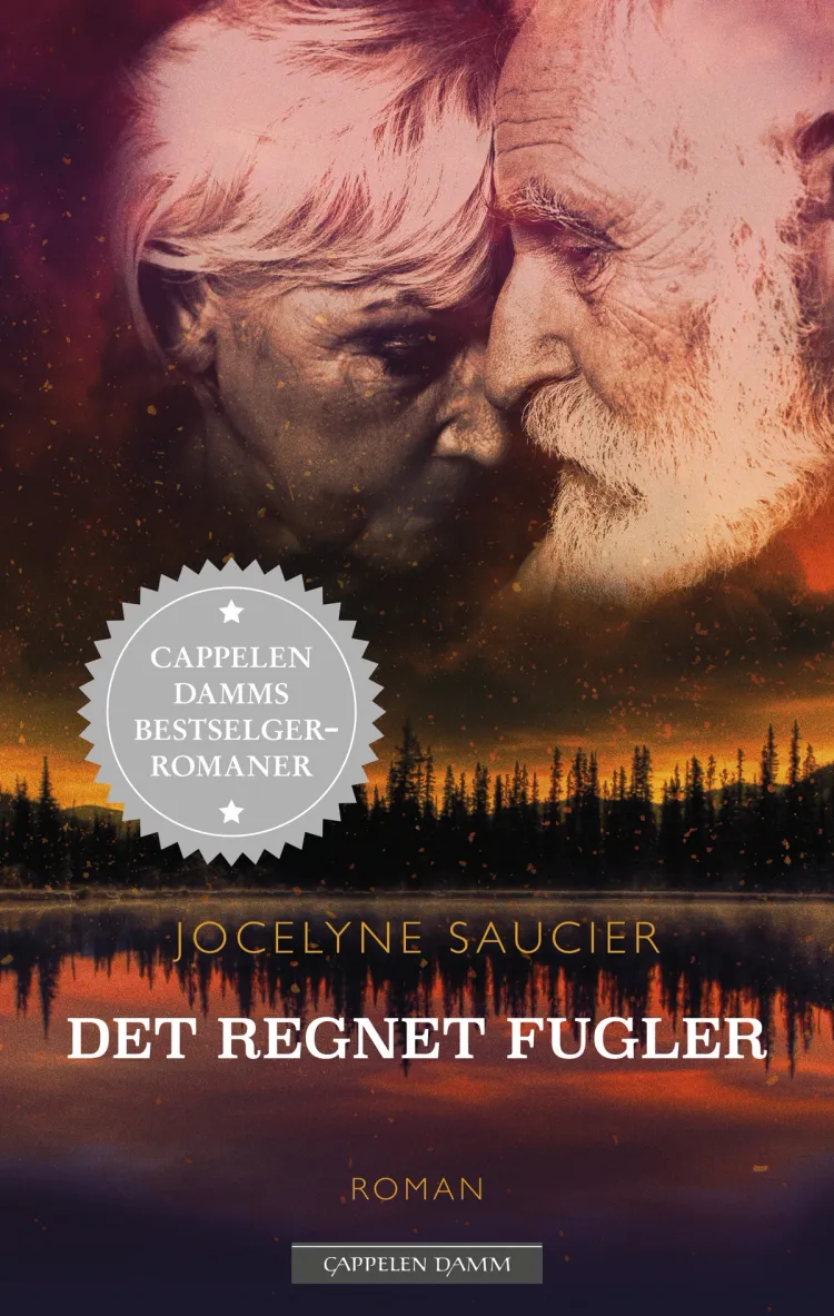 Omslag Det regnet fugler av Jocelyne Saucier (Heftet)