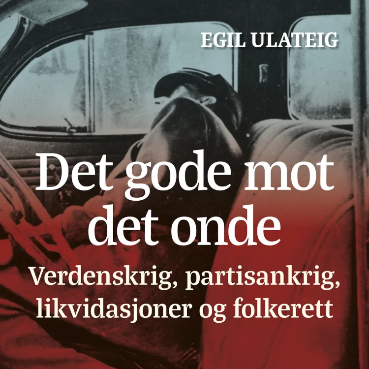 Omslag De gode mot de onde - verdenskrig, partisankrig, likvidasjoner og folkerett av Egil Ulateig (Lydbok)