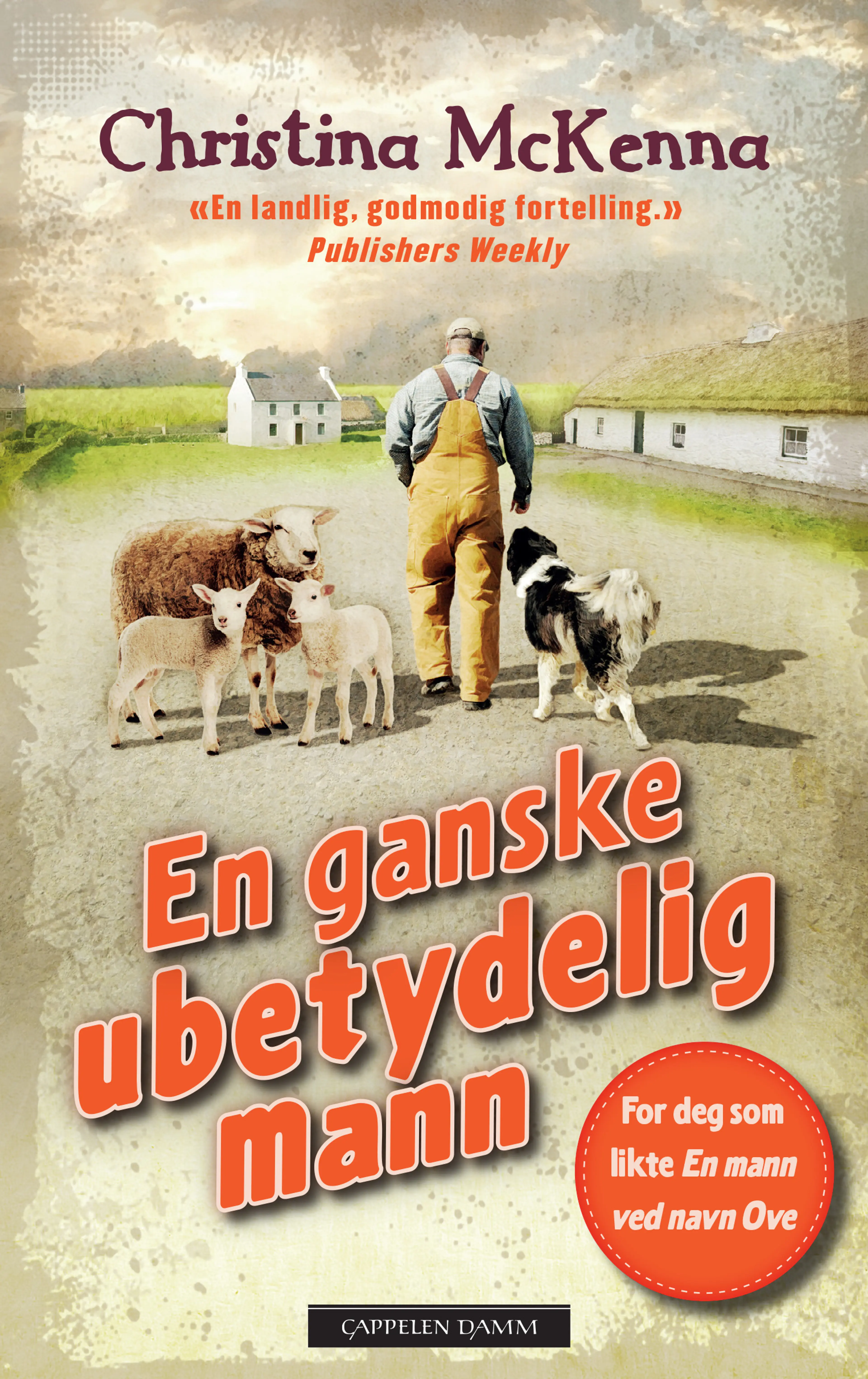 Omslag En ganske ubetydelig mann av Christina McKenna (Ebok)