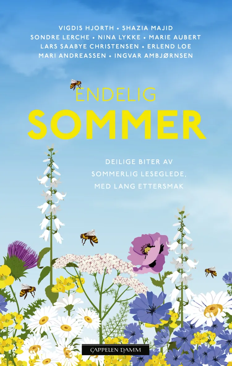 Omslag Endelig sommer av Lars Saabye Christensen, Vigdis Hjorth og Sondre Lerche (Innbundet)