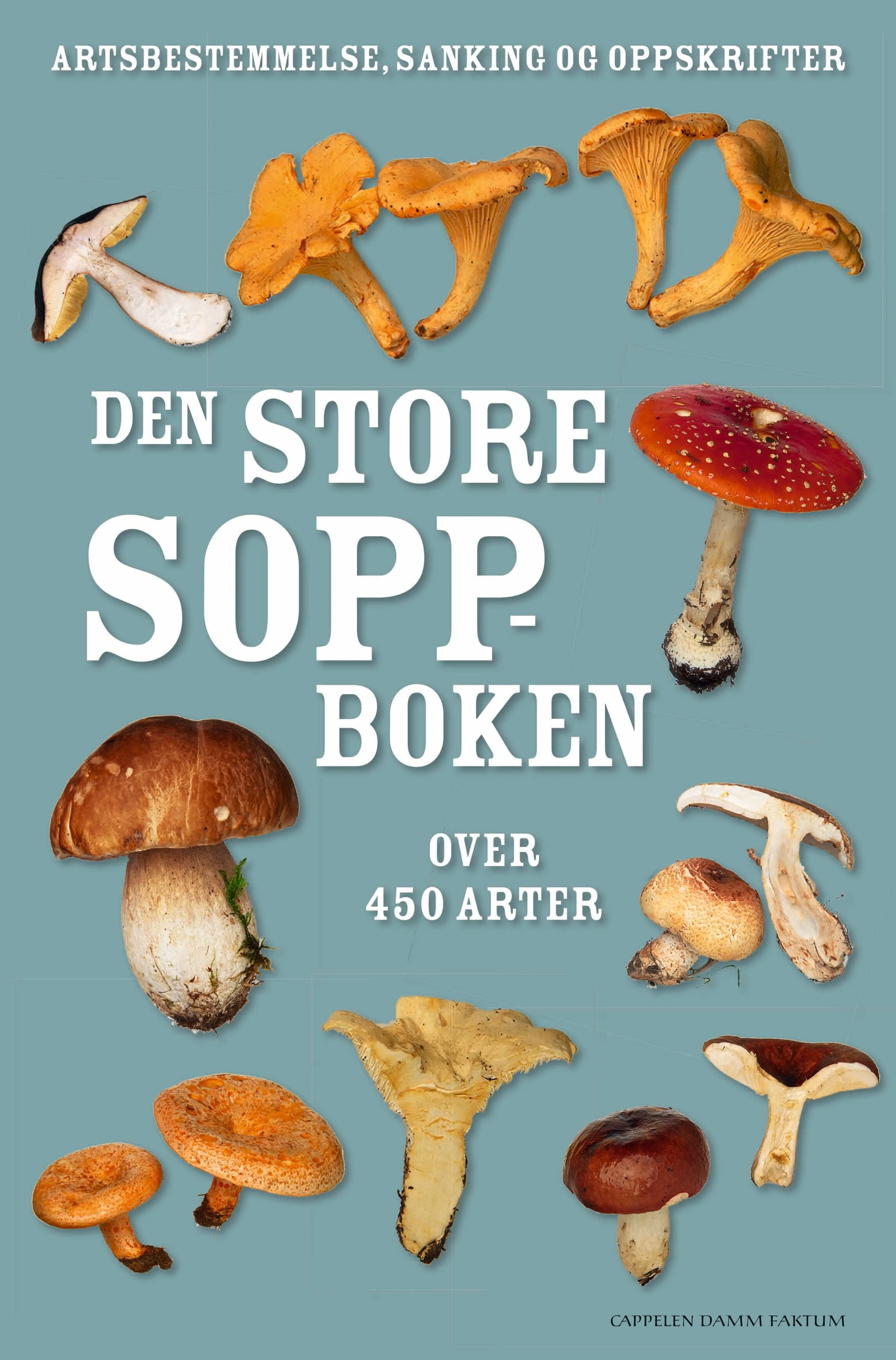 Omslag Den store soppboken av Thomas Læssøe og Anna del Conte (Innbundet)