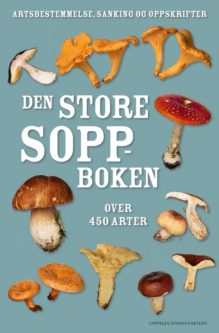 Omslag Den store soppboken av Thomas Læssøe og Anna del Conte (Innbundet)