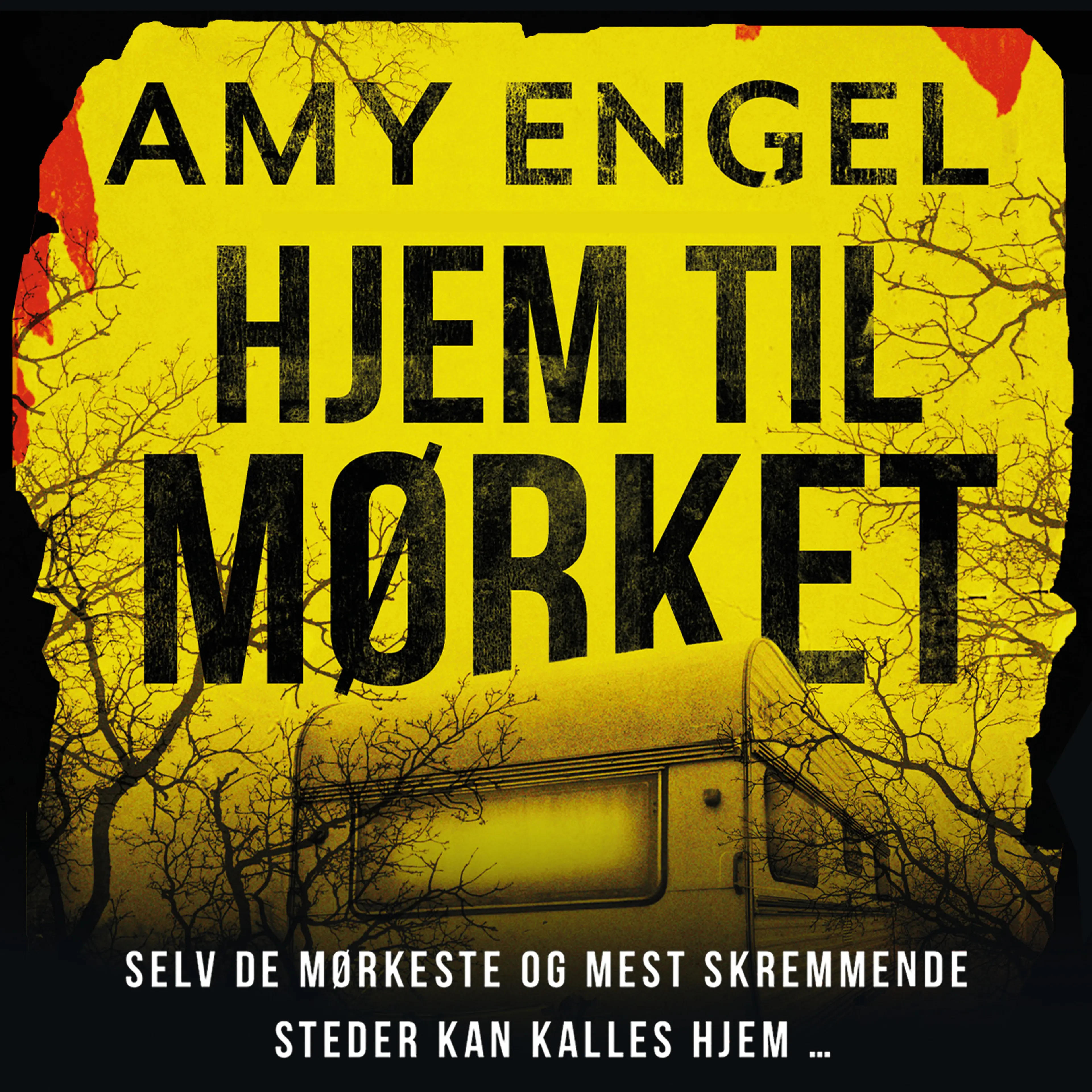 Omslag Hjem til mørket av Amy Engel (Lydbok)