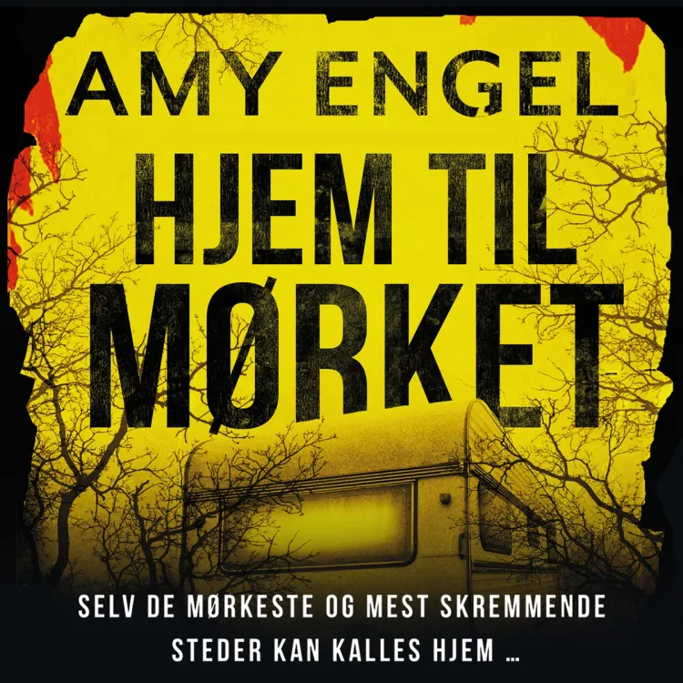 Omslag Hjem til mørket av Amy Engel (Lydbok)