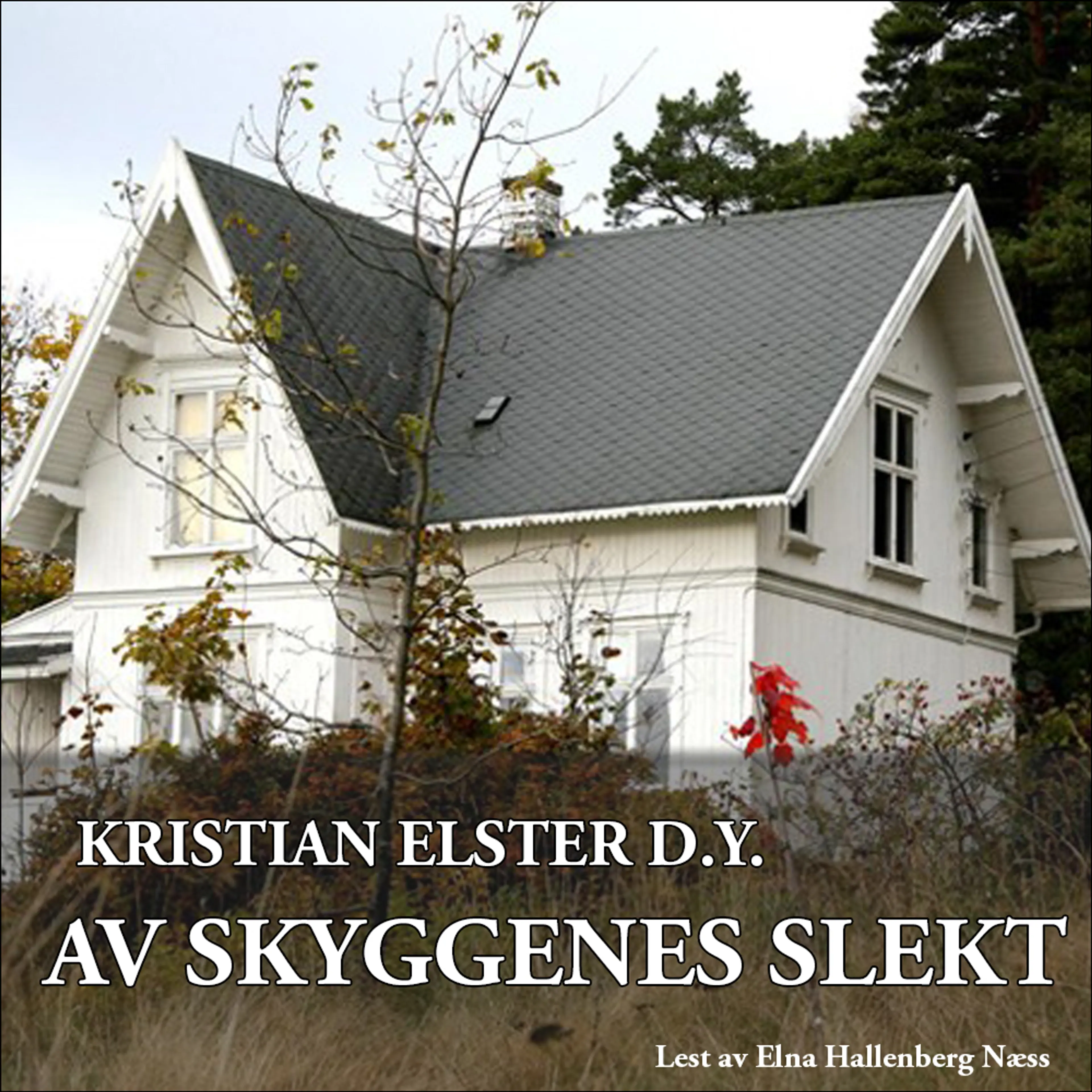 Omslag Av skyggenes slekt av Kristian Elster d.y. (Lydbok)