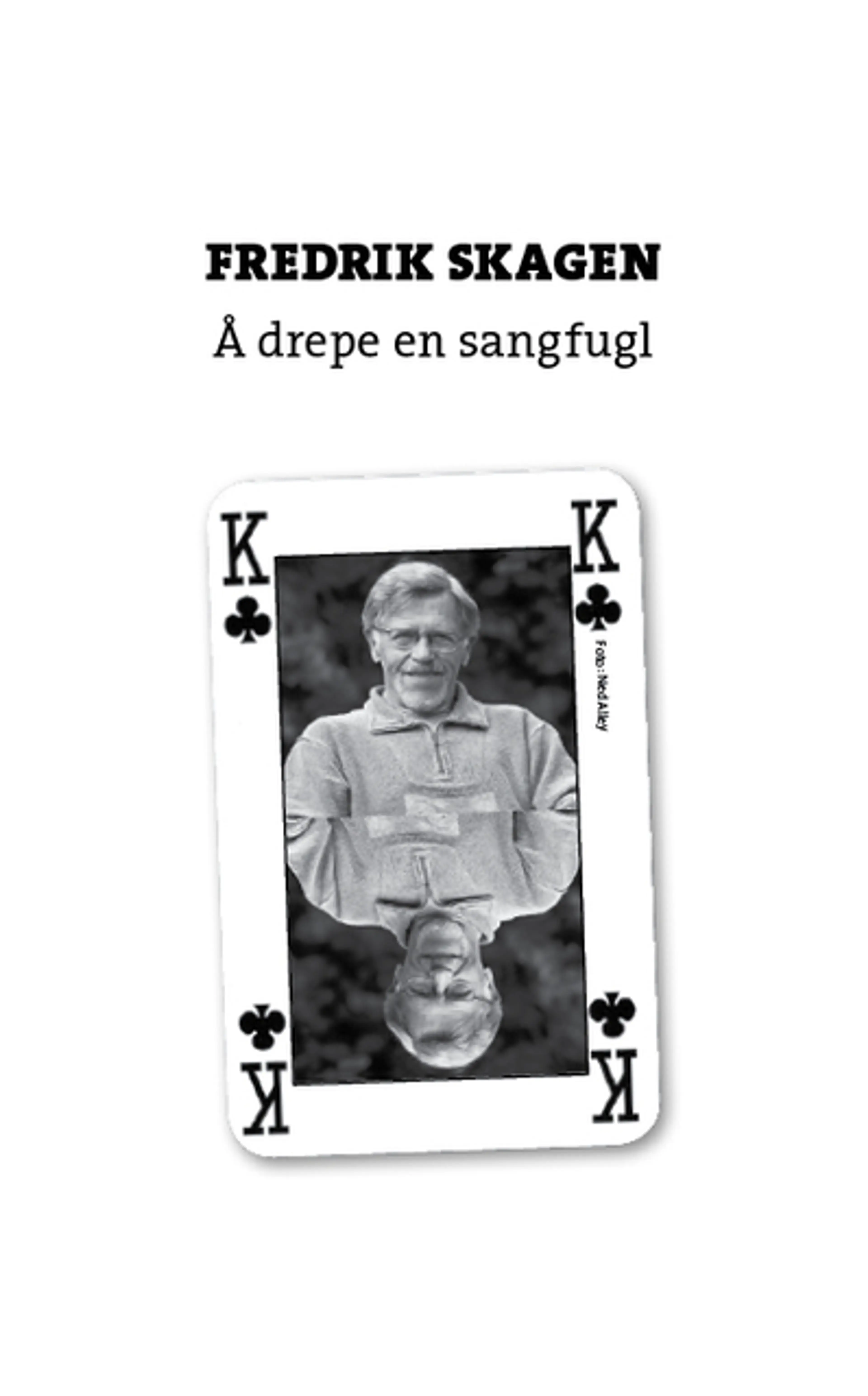 Omslag Å drepe en sangfugl av Fredrik Skagen (Ebok)