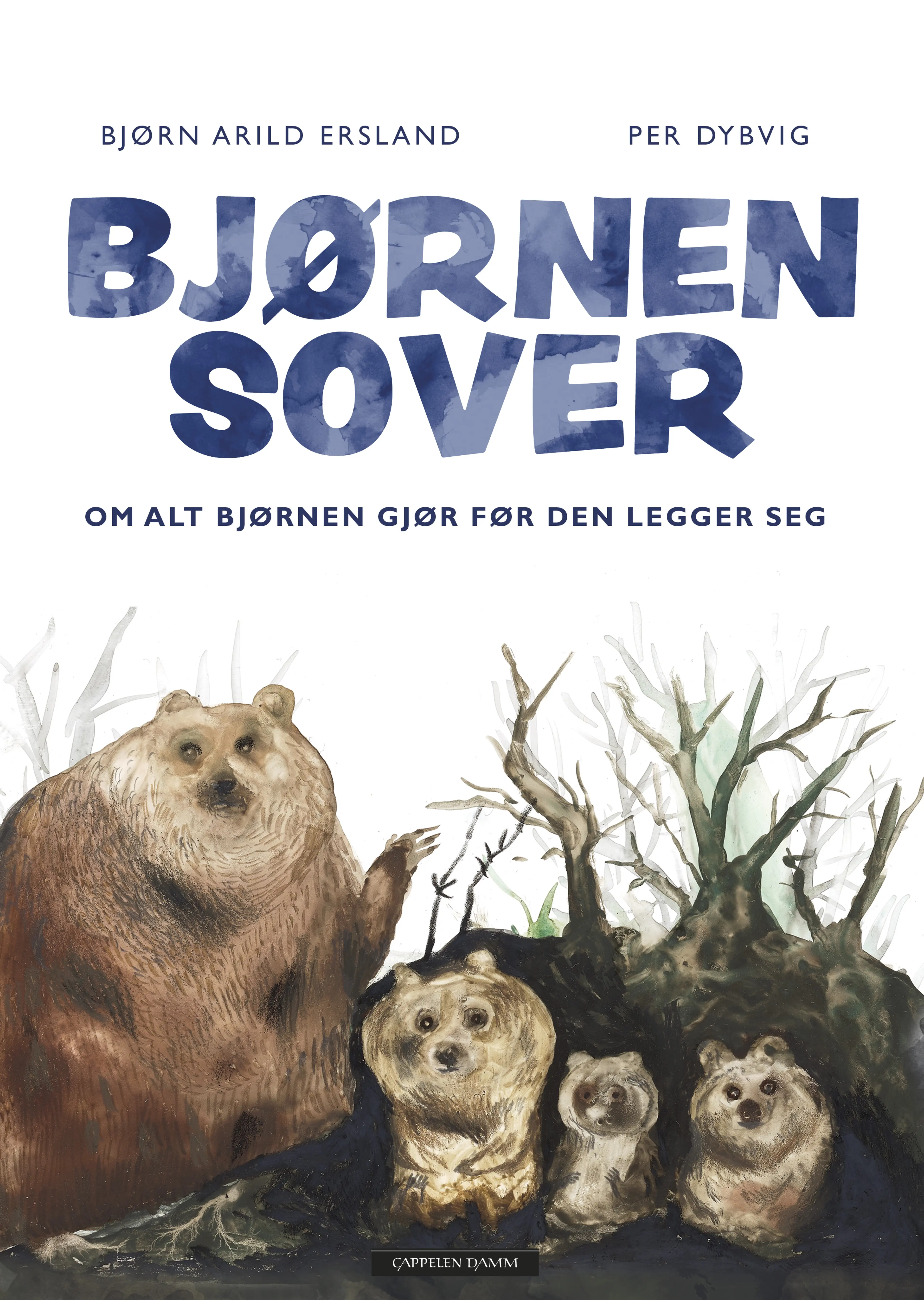 Omslag Bjørnen sover av Bjørn Arild Ersland (Innbundet)