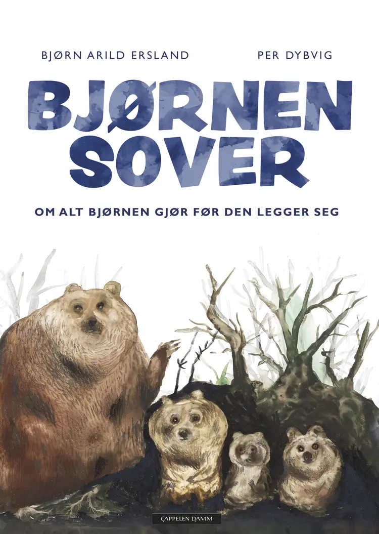 Omslag Bjørnen sover av Bjørn Arild Ersland (Innbundet)