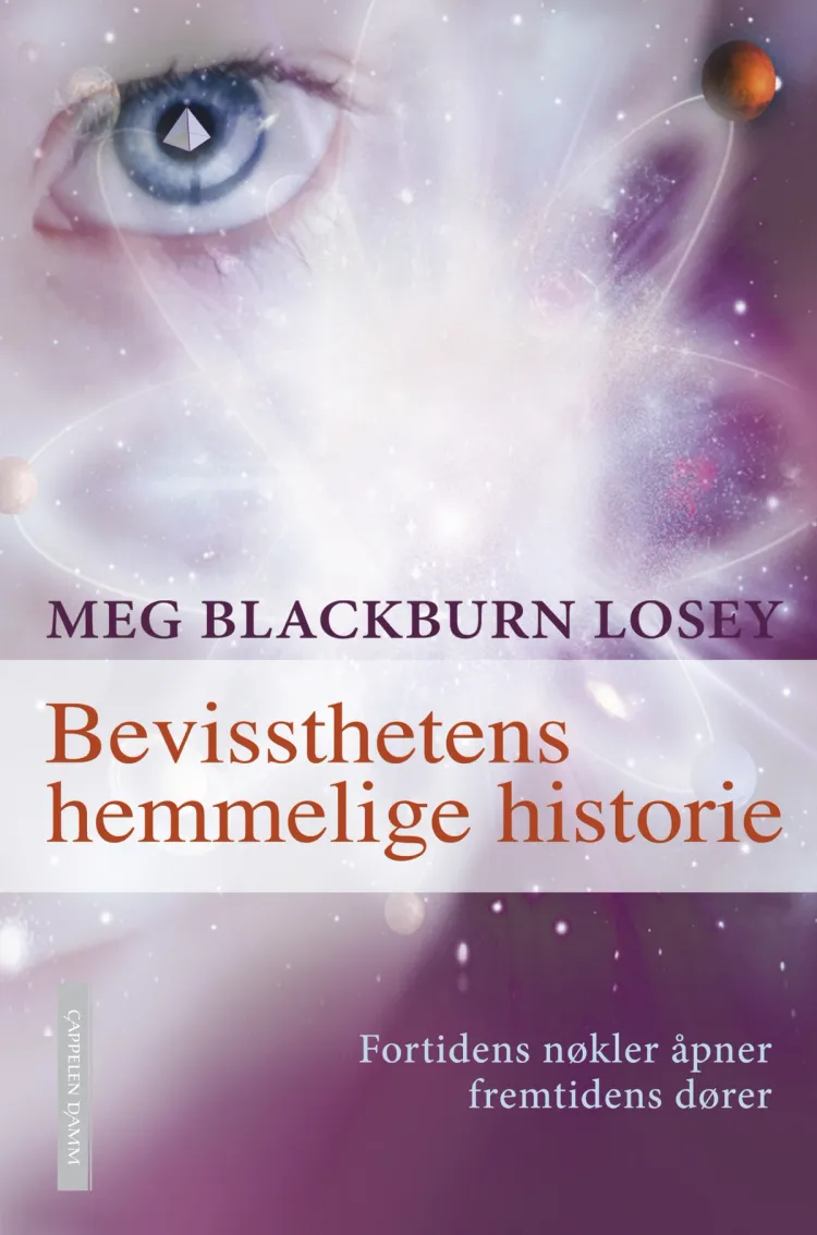 Omslag Bevissthetens hemmelige historie av Meg Blackburn Losey (Innbundet)