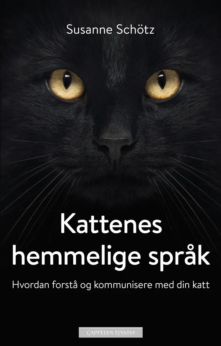 Omslag Kattenes hemmelige språk av Susanne Schötz (Innbundet)