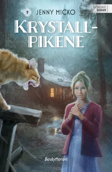 Omslag Beskytteren av Jenny Micko (Ebok)