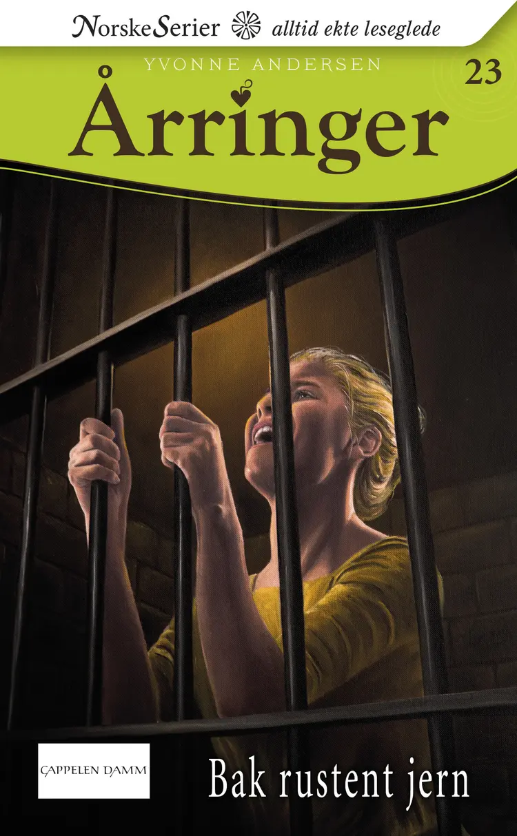 Omslag Bak rustent jern av Yvonne Andersen (Ebok)