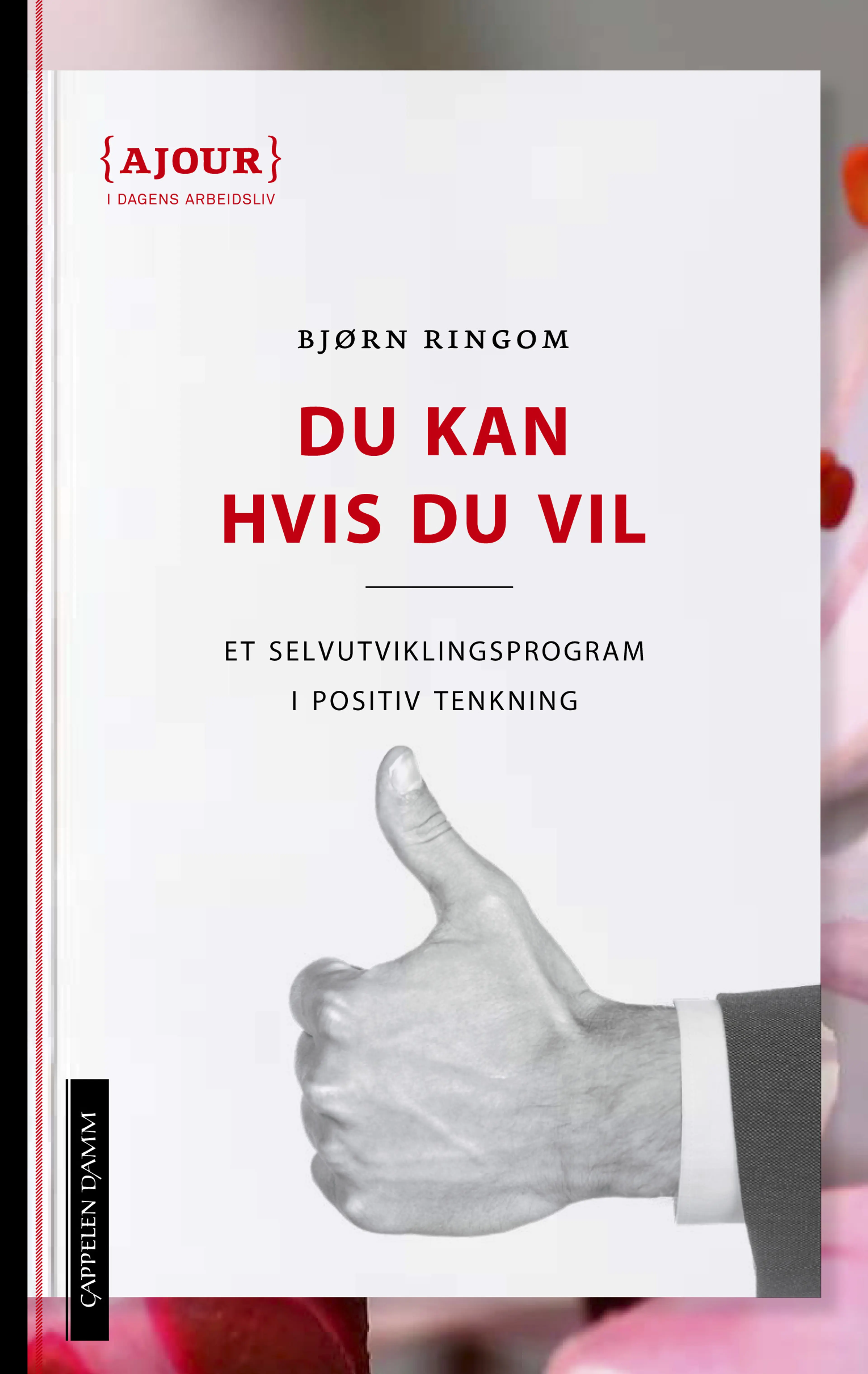 Omslag Du kan hvis du vil av Bjørn Ringom (Heftet)
