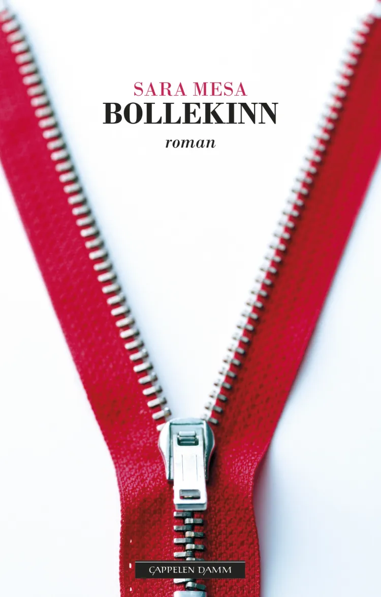 Omslag Bollekinn av Sara Mesa (Ebok)