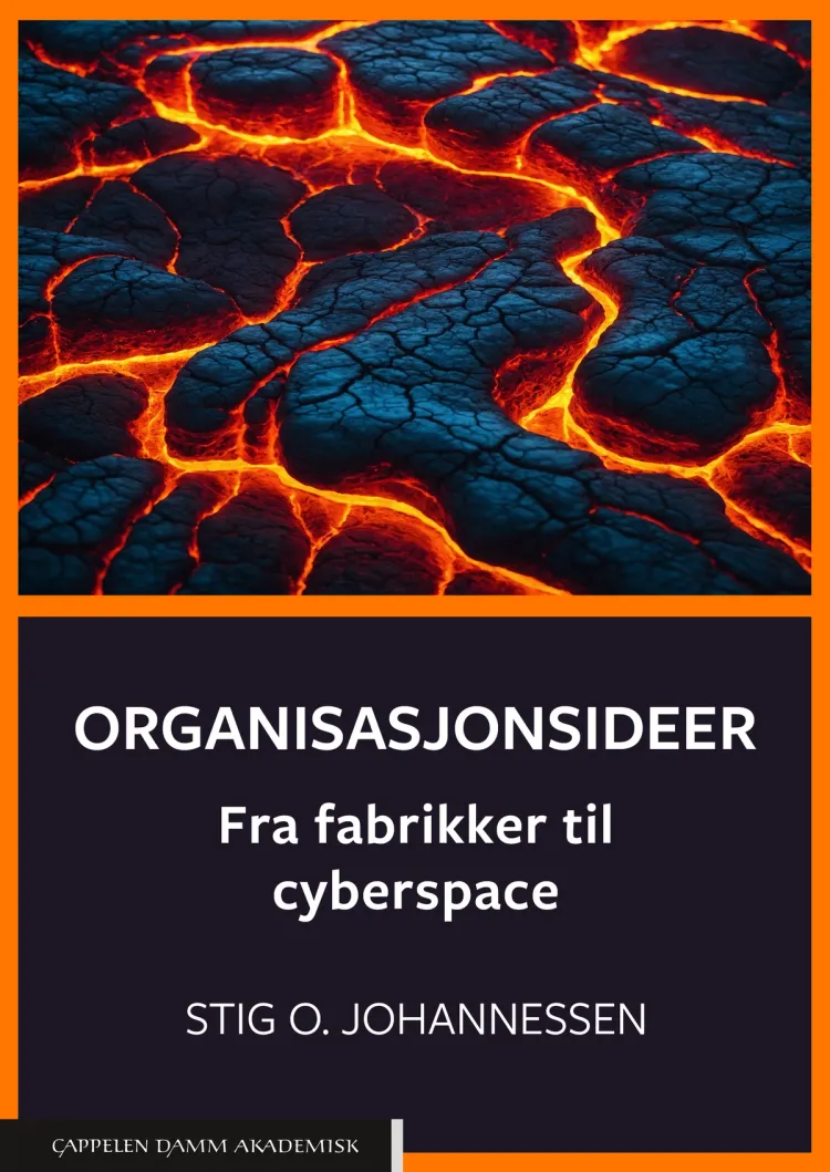 Omslag Organisasjonsideer av Stig Ole Johannessen (Heftet)