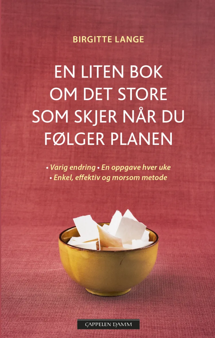 Omslag En liten bok om det store som skjer når du følger planen av Birgitte Lange (Ebok)
