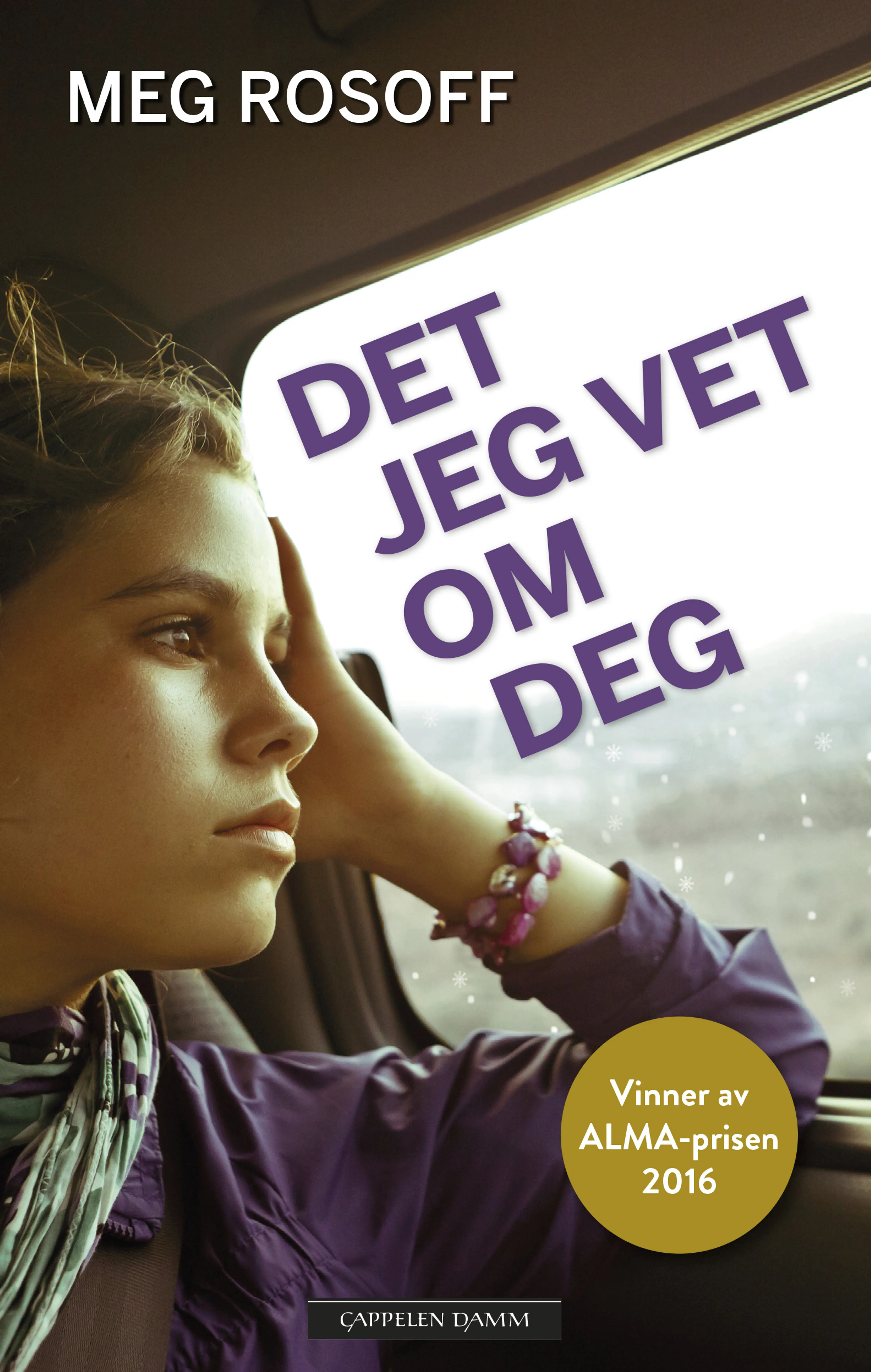 Omslag Det jeg vet om deg av Meg Rosoff (Ebok)
