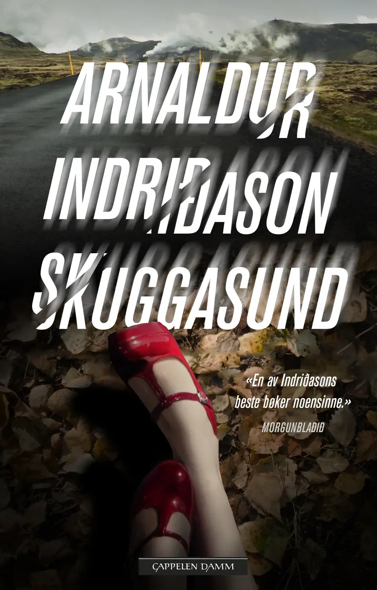 Omslag Skuggasund av Arnaldur Indridason (Innbundet)