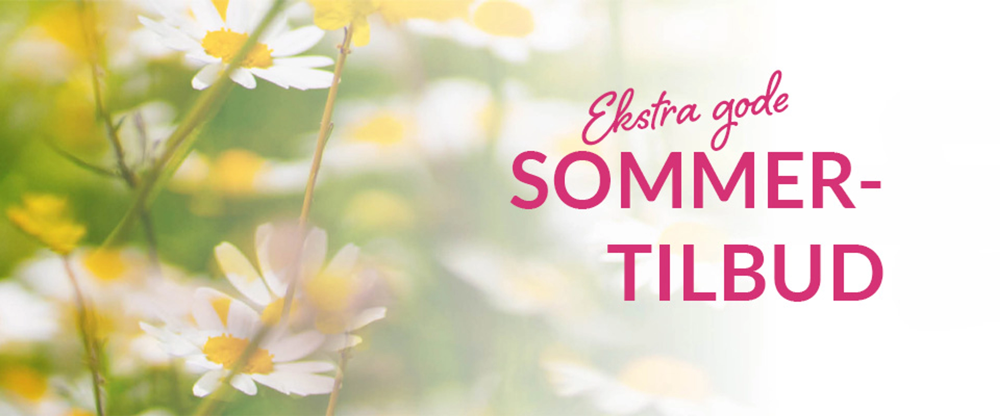 Bilde av blomstereng og teksten Ekstra gode sommertilbud