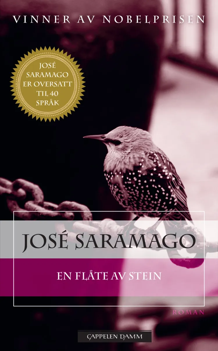 Omslag En flåte av stein av José Saramago (Ebok)