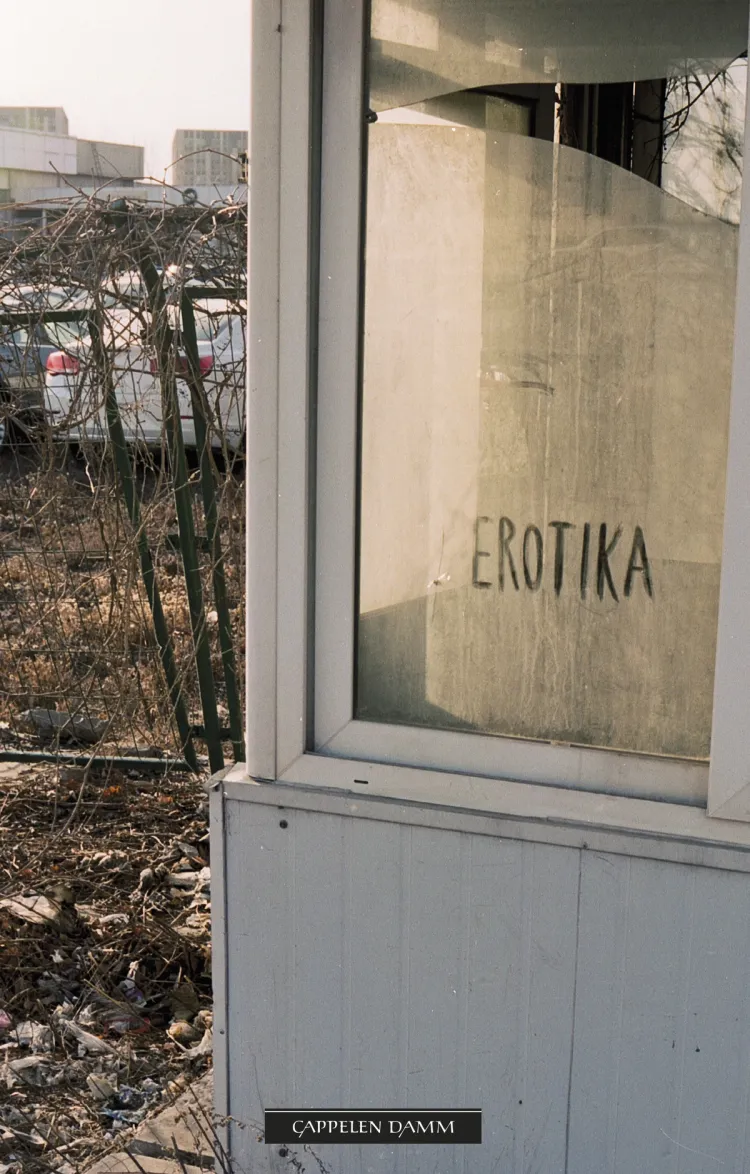 Omslag Erotika av Inger Wold Lund (Innbundet)