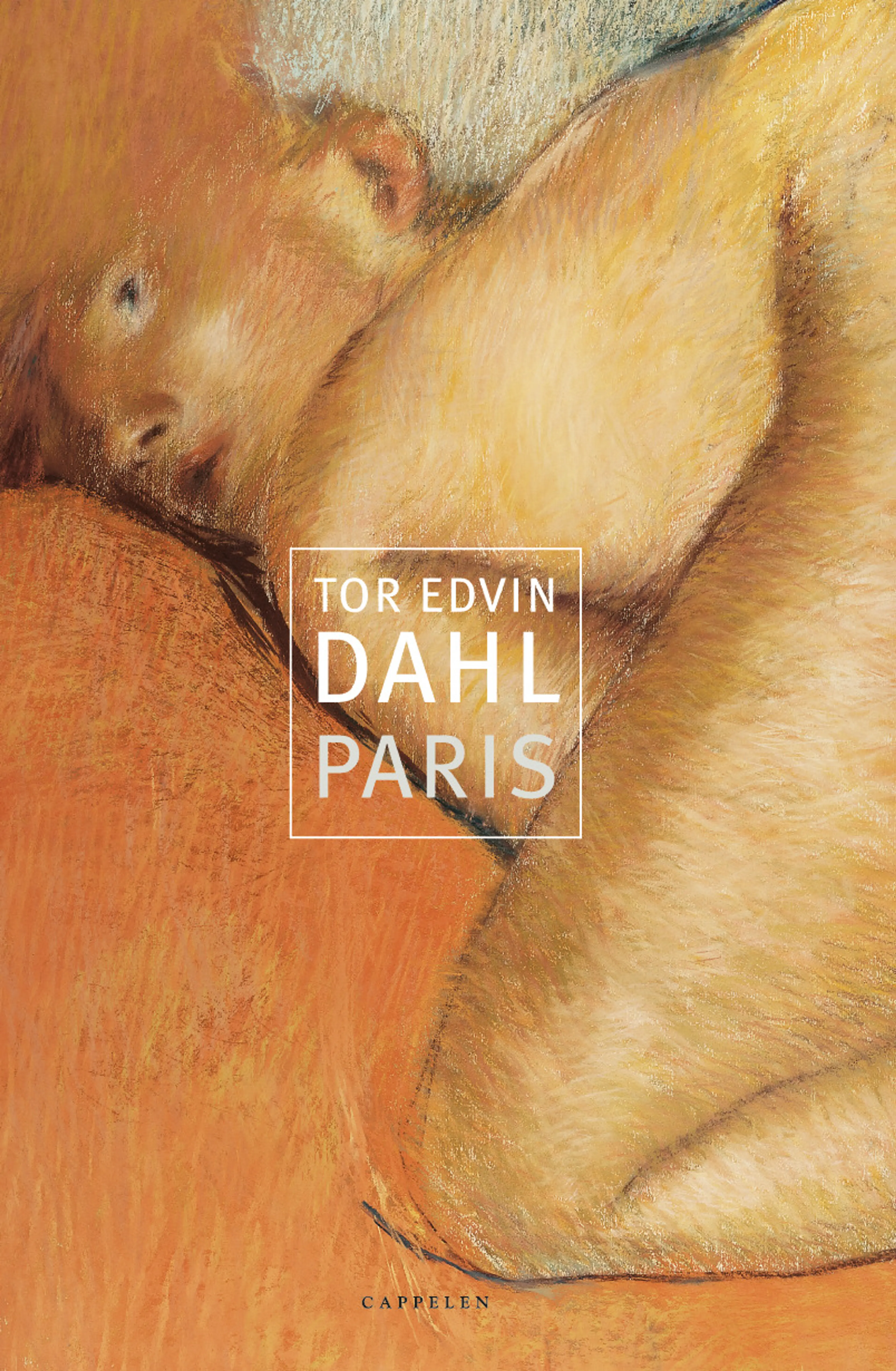 Omslag Paris av Tor Edvin Dahl (Innbundet)