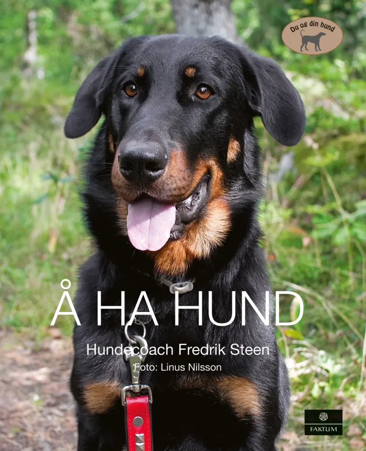 Omslag Å ha hund (Innbundet)