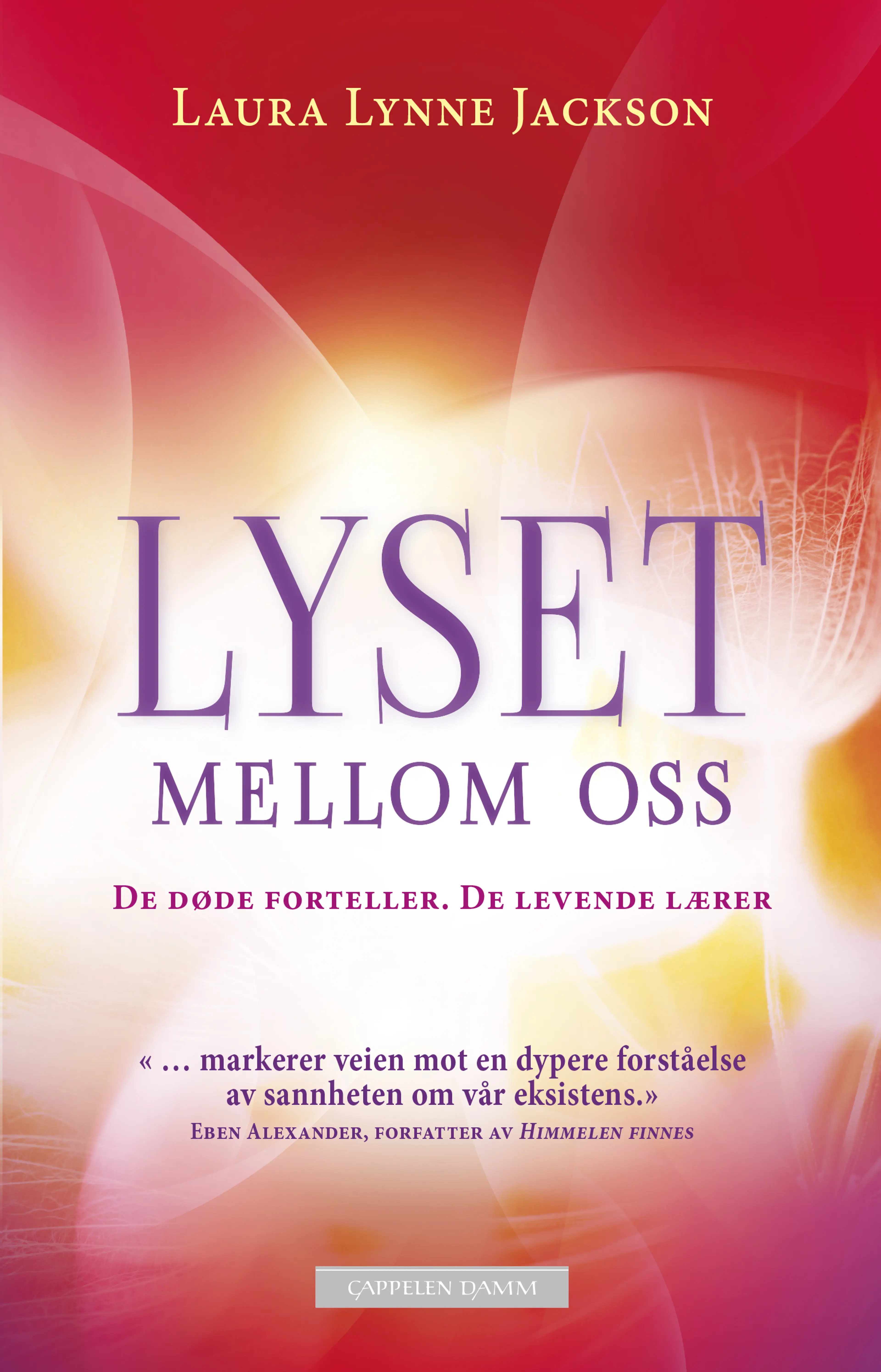 Omslag Lyset mellom oss av Laura Lynne Jackson (Heftet)